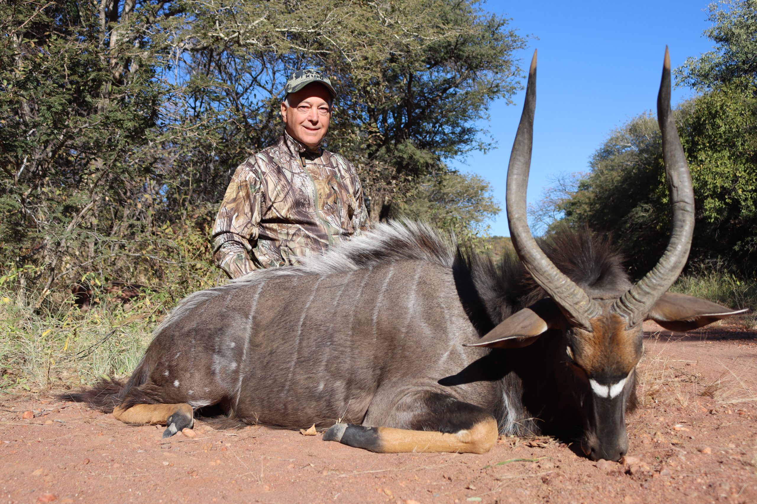 how to hubt a Sable in south africa