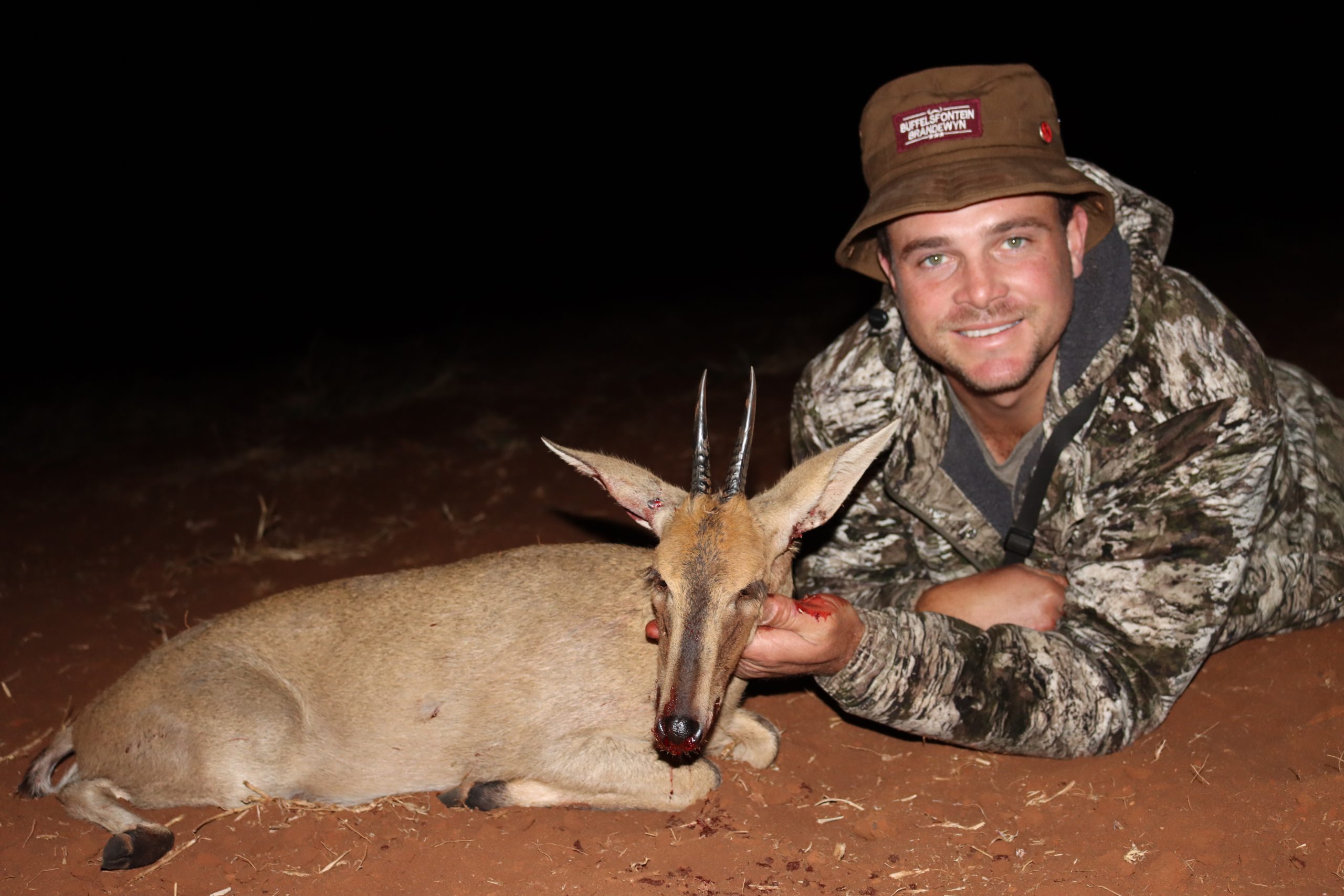 Duiker hunting afrca twin safari